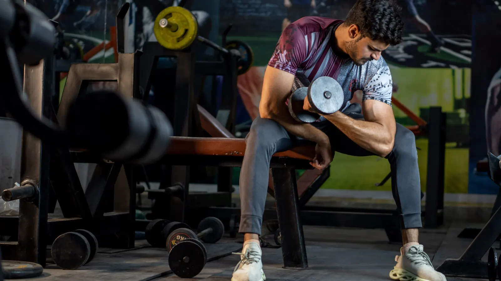 Man performing a seated dumbbell bicep curl in a gym